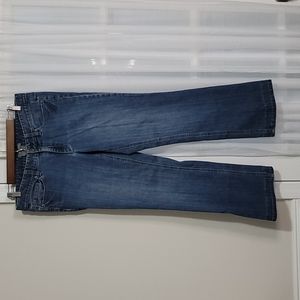 Ann Taylor Indigo Wide Leg Jeans